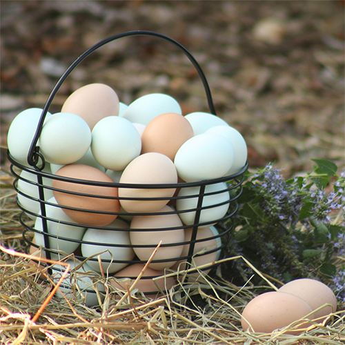 1-Dozen Farm Fresh Eggs